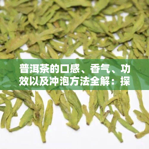 普洱茶的口感、香气、功效以及冲泡方法全解：探索普洱茶的魅力