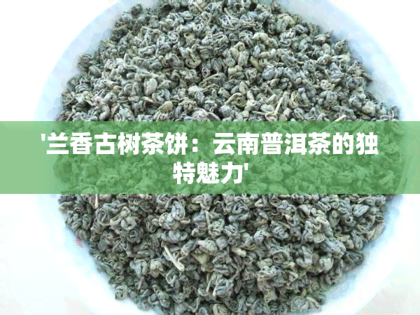 '兰香古树茶饼：云南普洱茶的独特魅力'