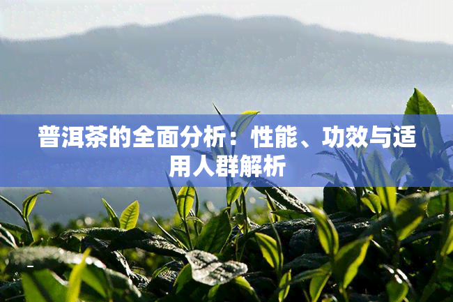 普洱茶的全面分析：性能、功效与适用人群解析