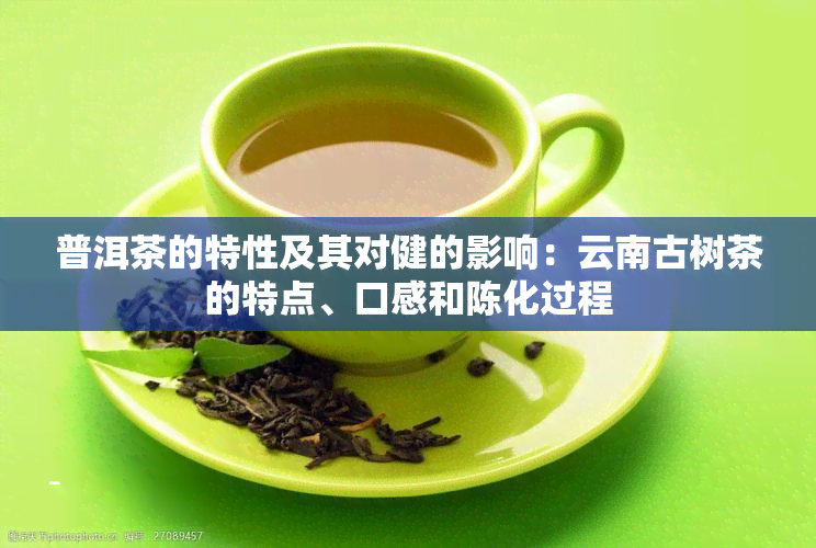 普洱茶的特性及其对健的影响：云南古树茶的特点、口感和陈化过程