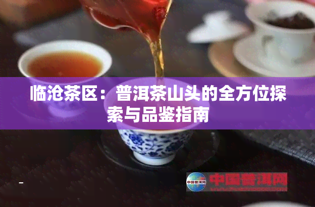 临沧茶区：普洱茶山头的全方位探索与品鉴指南