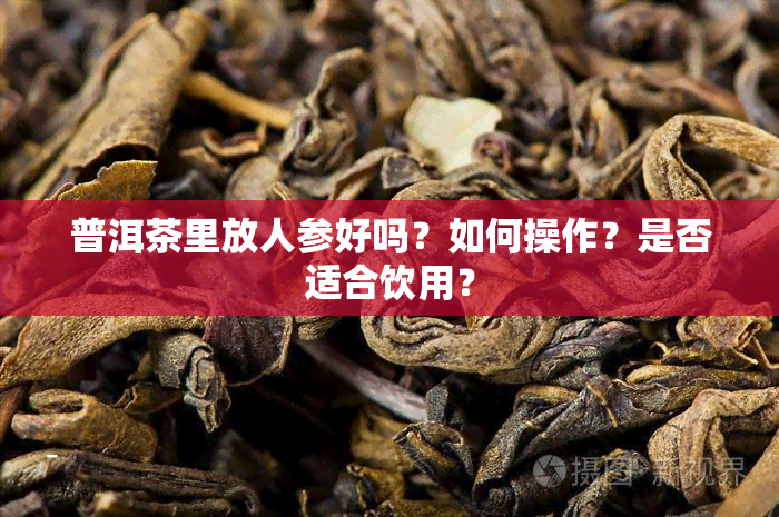 普洱茶里放人参好吗？如何操作？是否适合饮用？