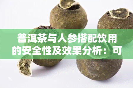 普洱茶与人参搭配饮用的安全性及效果分析：可行性与注意事项