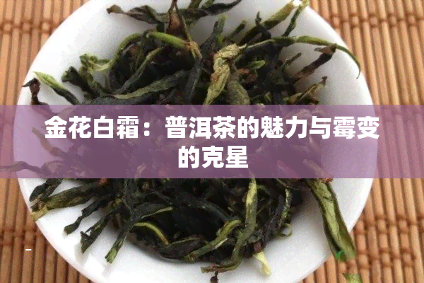 金花白霜：普洱茶的魅力与霉变的克星