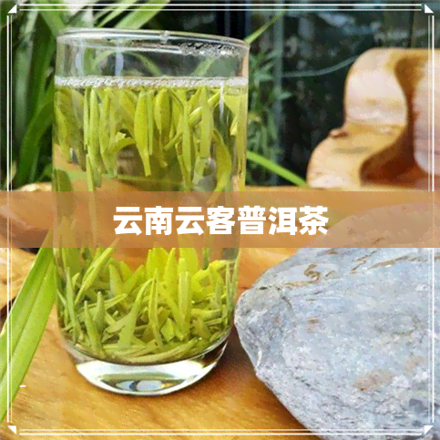 云南云客普洱茶