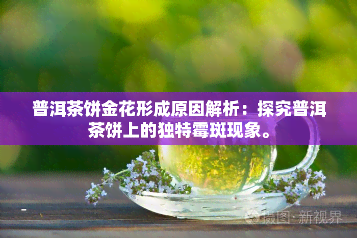 普洱茶饼金花形成原因解析：探究普洱茶饼上的独特霉斑现象。