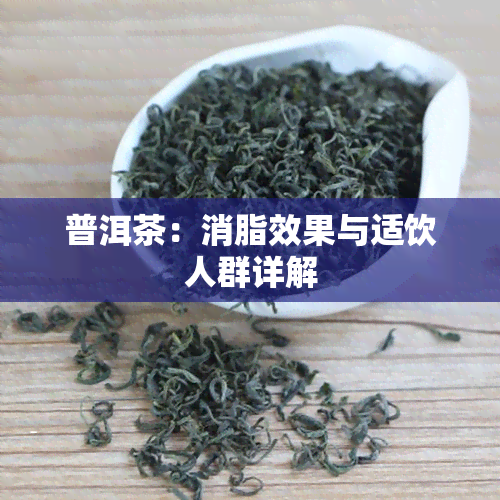 普洱茶：消脂效果与适饮人群详解