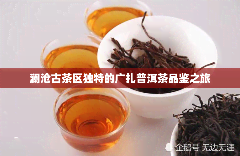 澜沧古茶区独特的广扎普洱茶品鉴之旅