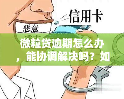 微粒贷逾期怎么办，能协调解决吗？如何应对？