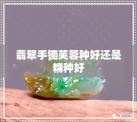 翡翠手镯芙蓉种好还是糯种好