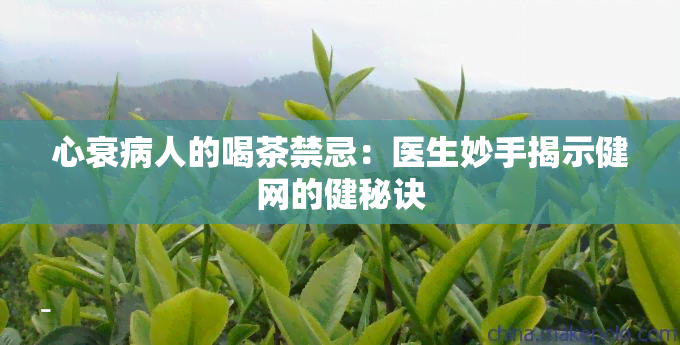 心衰病人的喝茶禁忌：医生妙手揭示健网的健秘诀