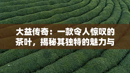 大益传奇：一款令人惊叹的茶叶，揭秘其独特的魅力与制作过程