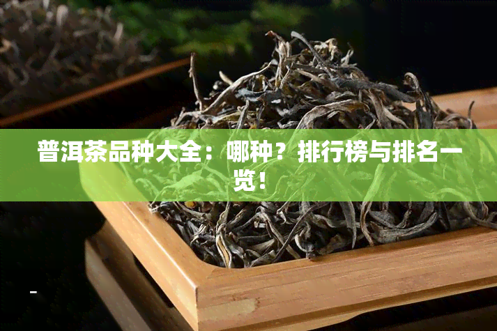 普洱茶品种大全：哪种？排行榜与排名一览！