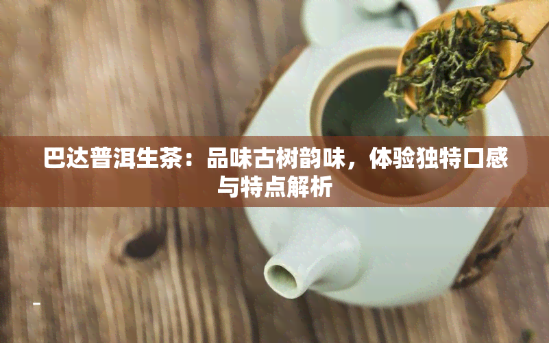 巴达普洱生茶：品味古树韵味，体验独特口感与特点解析