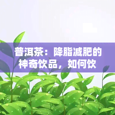 普洱茶：降脂减肥的神奇饮品，如何饮用才能发挥效果？