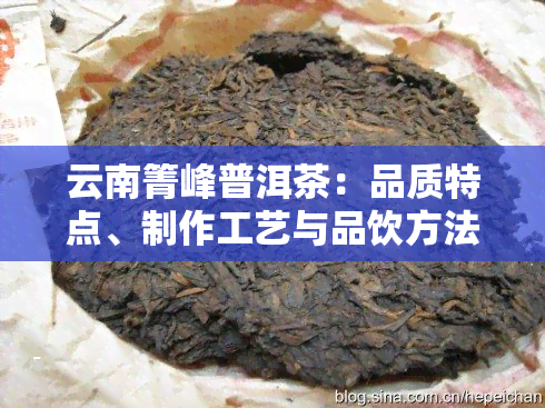 云南箐峰普洱茶：品质特点、制作工艺与品饮方法的全面介绍