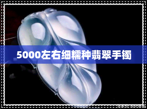 5000左右细糯种翡翠手镯