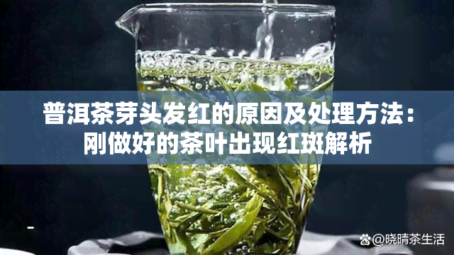 普洱茶芽头发红的原因及处理方法：刚做好的茶叶出现红斑解析