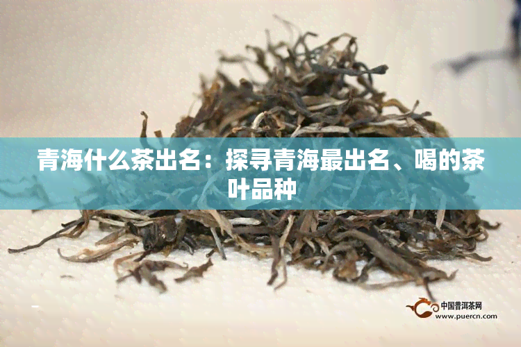 青海什么茶出名：探寻青海最出名、喝的茶叶品种