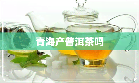 青海产普洱茶吗