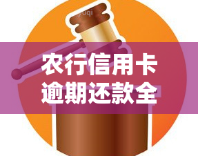 农行信用卡逾期还款全攻略：逾期原因、解决方法、影响及如何补救！