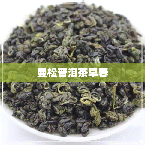 曼松普洱茶早春