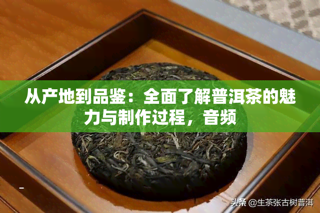 从产地到品鉴：全面了解普洱茶的魅力与制作过程，音频