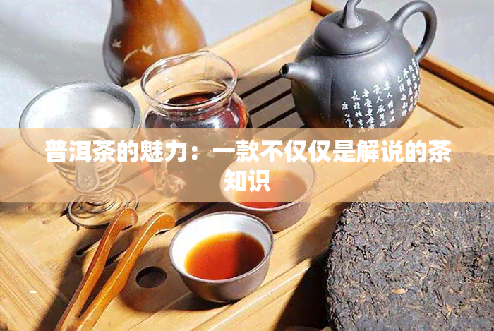 普洱茶的魅力：一款不仅仅是解说的茶知识