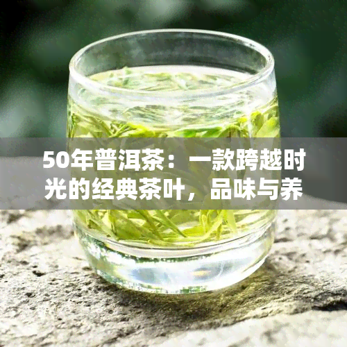 50年普洱茶：一款跨越时光的经典茶叶，品味与养生的完美结合