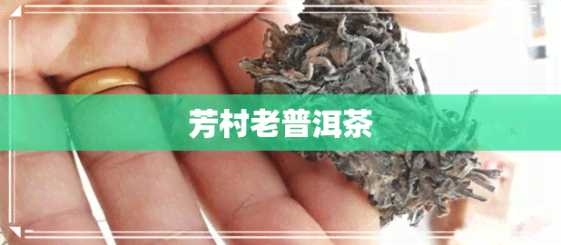 芳村老普洱茶