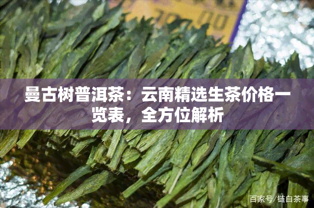 曼古树普洱茶：云南精选生茶价格一览表，全方位解析