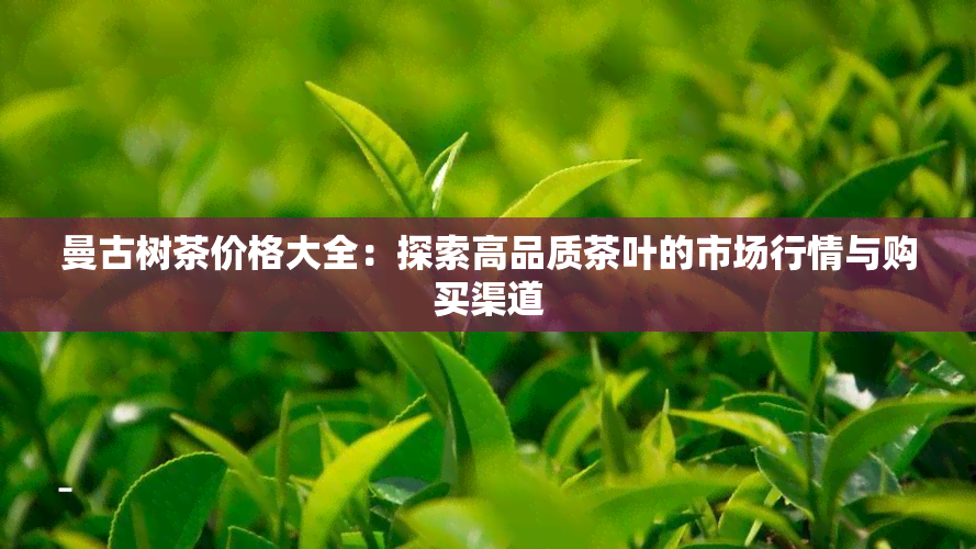 曼古树茶价格大全：探索高品质茶叶的市场行情与购买渠道