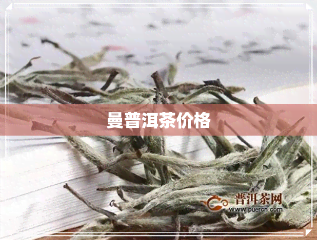 曼普洱茶价格