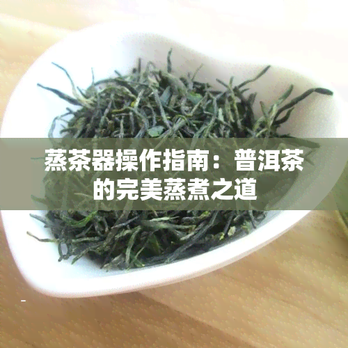 蒸茶器操作指南：普洱茶的完美蒸煮之道