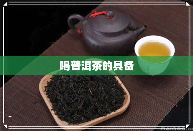 喝普洱茶的具备