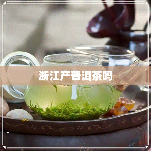 浙江产普洱茶吗