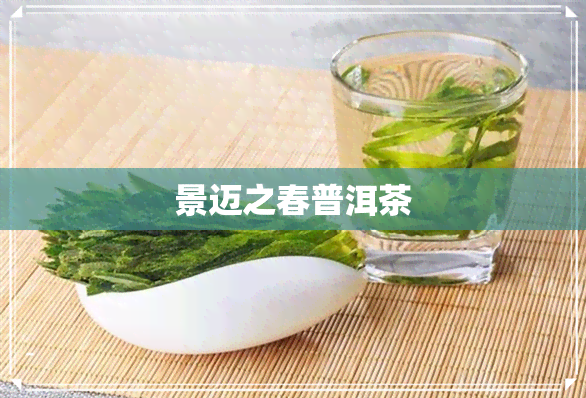 景迈之春普洱茶