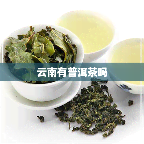 云南有普洱茶吗