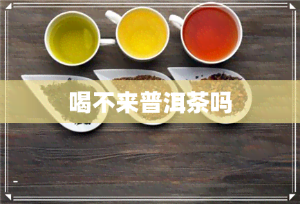 喝不来普洱茶吗