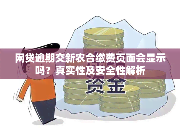 网贷逾期交新农合缴费页面会显示吗？真实性及安全性解析