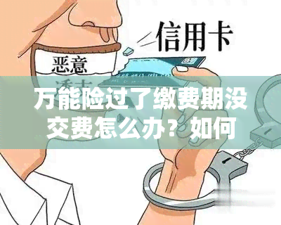 万能险过了缴费期没交费怎么办？如何处理这种情况？