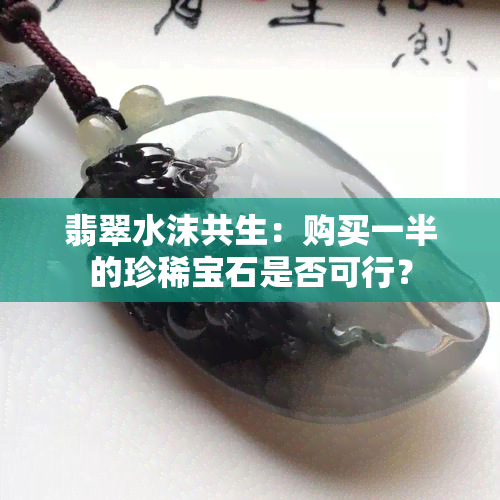 翡翠水沫共生：购买一半的珍稀宝石是否可行？