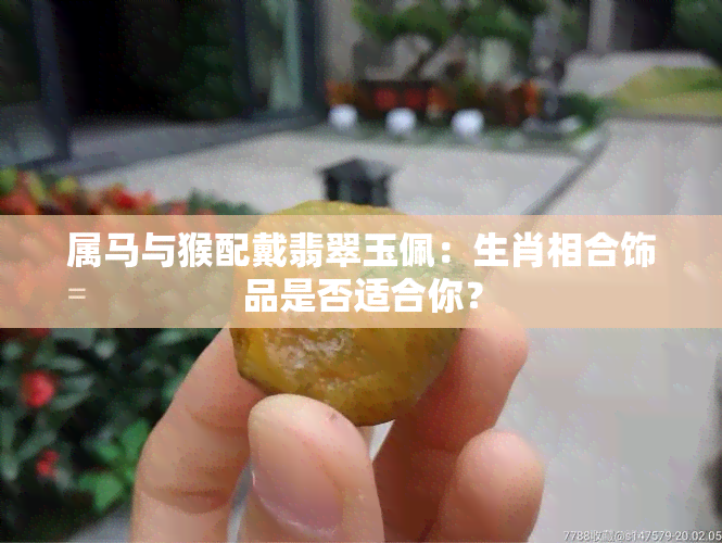 属马与猴配戴翡翠玉佩：生肖相合饰品是否适合你？