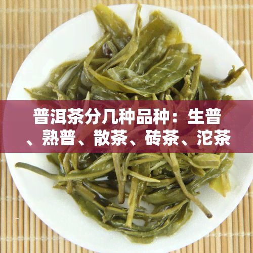 普洱茶分几种品种：生普、熟普、散茶、砖茶、沱茶