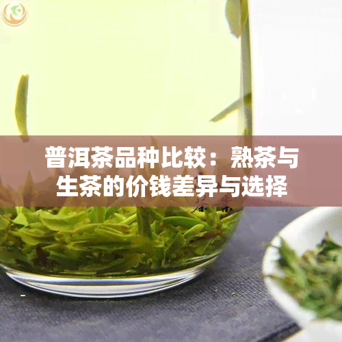 普洱茶品种比较：熟茶与生茶的价钱差异与选择