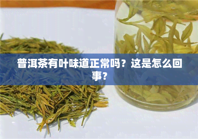 普洱茶有叶味道正常吗？这是怎么回事？