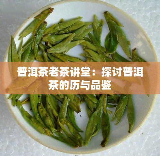 普洱茶老茶讲堂：探讨普洱茶的历与品鉴