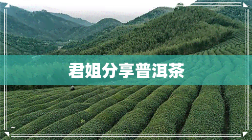 君姐分享普洱茶