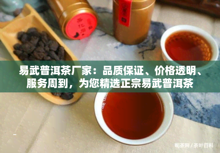 易武普洱茶厂家：品质保证、价格透明、服务周到，为您精选正宗易武普洱茶