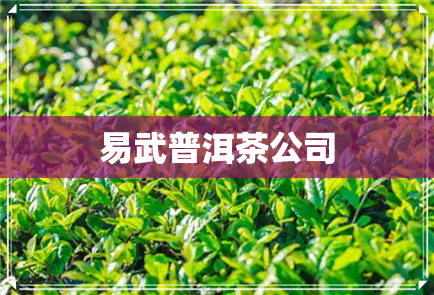 易武普洱茶公司